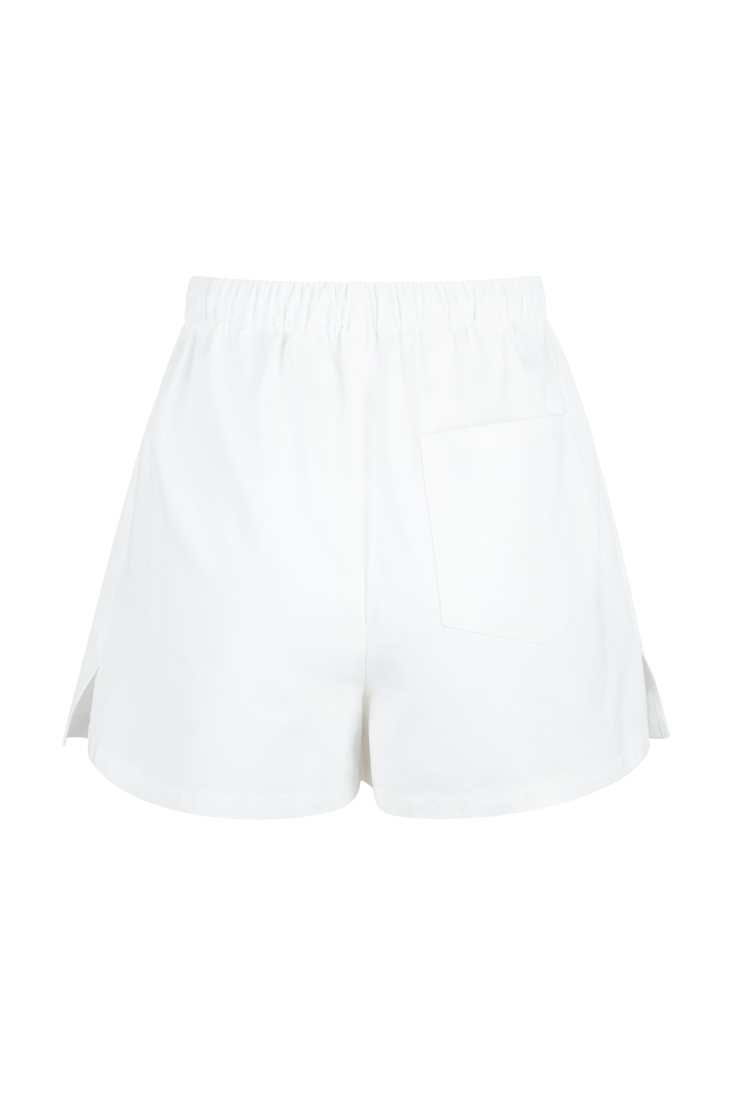 Oyster Shorts